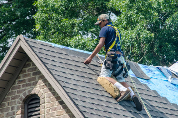 Roof Gutter Cleaning in Monahans, TX